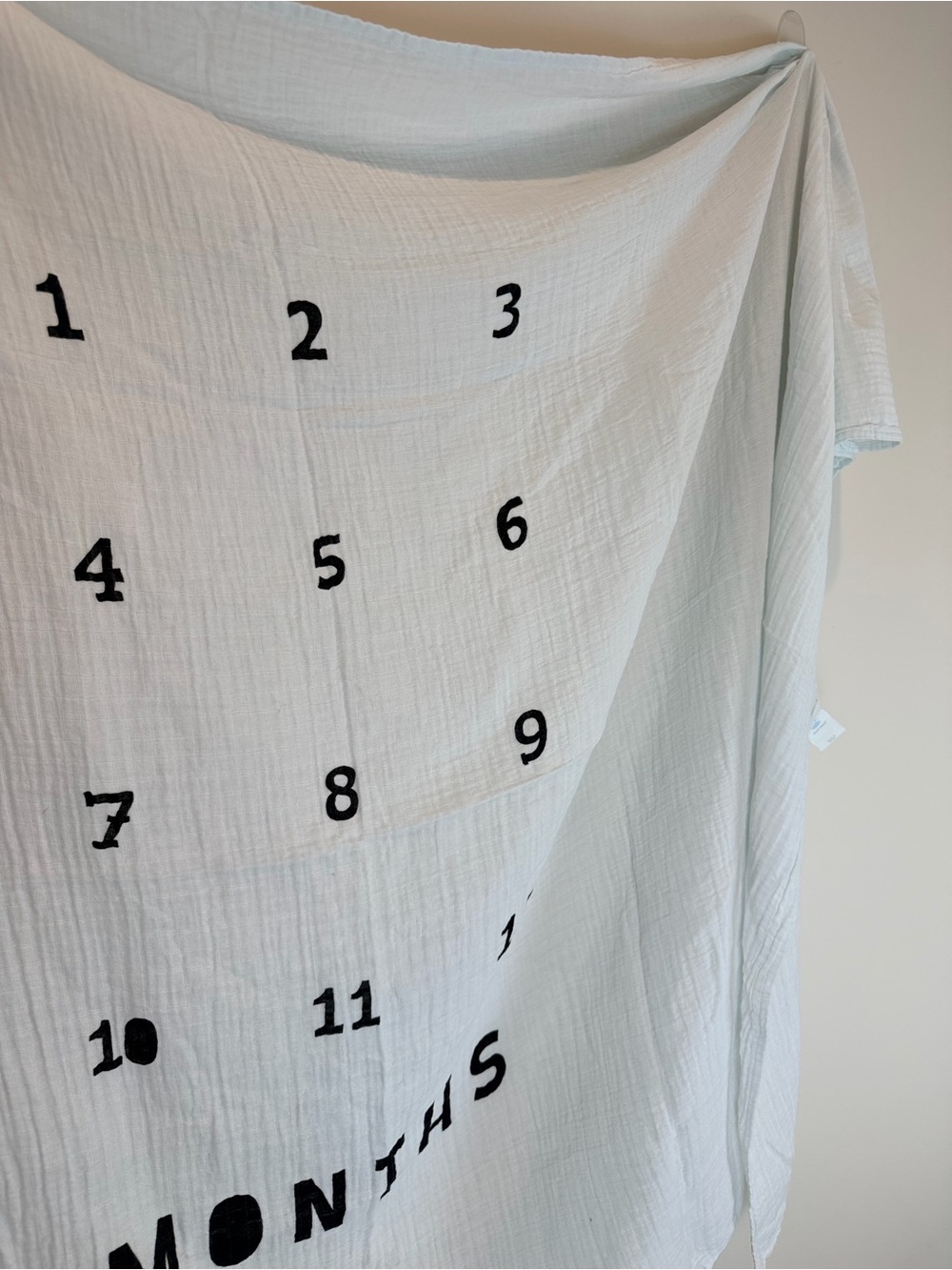Cloud Island Light Blue Cotton Baby Blanet by Month up to 12 Months